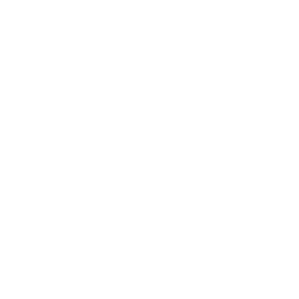 楽しい 英語初心者でも