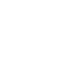 楽しい 英語初心者でも